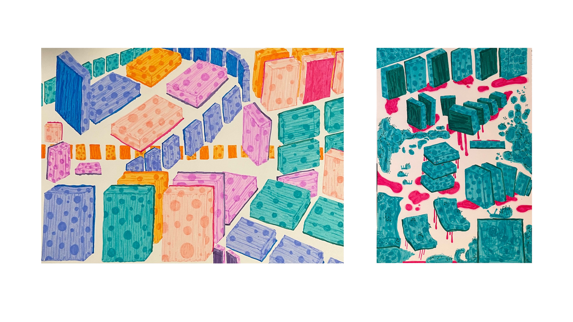 sponges